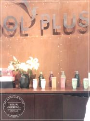 -IDOL-PLUS