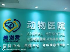 -美迦爱-牙专科·兔科·骨科诊疗中心(北苑店)