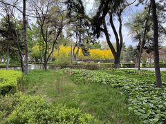 -长春市南湖公园