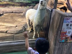 -苏州海洋馆