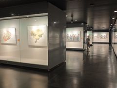 -江苏省美术馆(长江路新馆)
