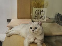 -稀物集咖啡(徽州大道店)