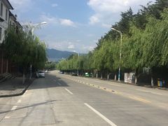 -收获咖啡HARVEST RESERVE(苍山店)
