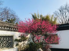 -杭州植物园