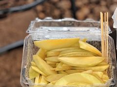 -凤城·食都