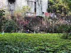 -乌山风景区