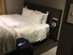-秋叶原华盛顿酒店