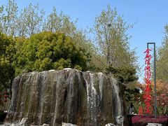 -合肥滨湖国家森林公园