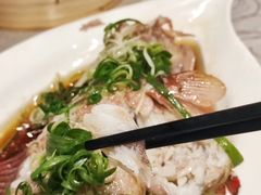 -東海薈。拉斐特(青衣城店)