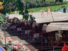 -荷花荡