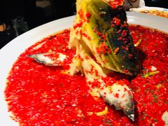 -坛宗剁椒鱼头(河西王府井店)