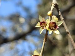 -北京动物园-畅观楼