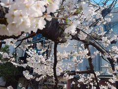 -京都御所