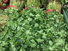 香菜-金宝生活市场(东五环店)