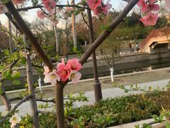 -元大都城垣遗址公园