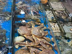 -盛港湾海鲜食府(黄沙店)