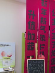 -凡碧诗毛孔清洁收细