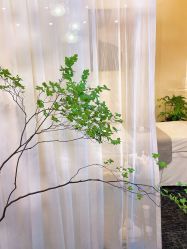 点击看大图 -V Charm芮槿肌肤管理