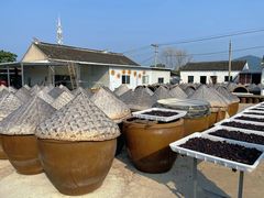 -苏州市吴中区光福窑上花果蜜饯厂