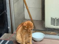 -天然沐足·推背采耳·敷姜艾灸(龙眼美食街店)