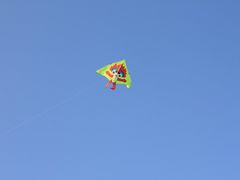 IMG_4571-三亚海棠湾万丽度假酒店