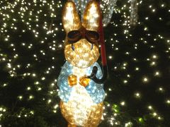 -别府杉乃井酒店