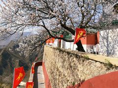 -圣莲山风景区
