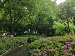 -昆山城市公园