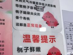 -老袁家蜜桃农场·阳山水蜜桃