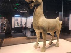 -合浦汉代文化博物馆