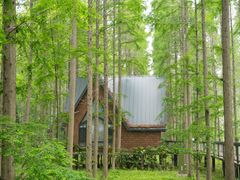 -黄海国家森林公园