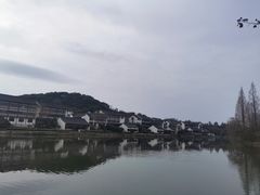 -鲁镇