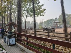 -大连森林动物园