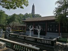 -顺峰山公园