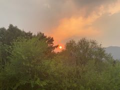 -北京西山国家森林公园