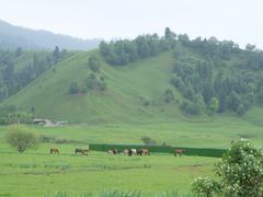 -新疆那拉提国家旅游度假区