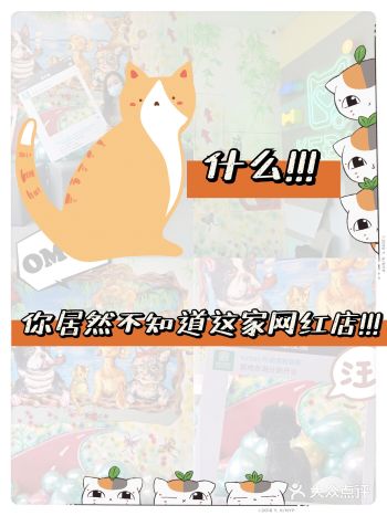 探店日记| 主子们也有网红打卡点啦！