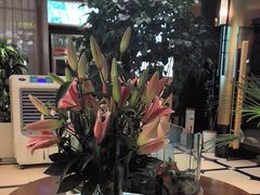 -润园四季椰子鸡火锅(卓越INTOWN店)