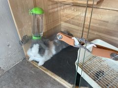 -小意思咖啡店(草桥店)