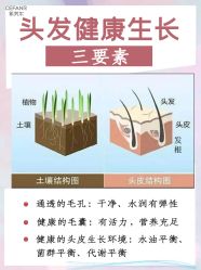 -希梵尔头皮抗衰·科技养发
