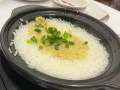 -稻香酒家·34年老字号·港式粤菜(侨光店)