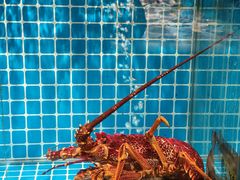 -佬太公海鸭·海鲜大排档(上海总店)