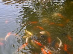 -珠海圆明新园
