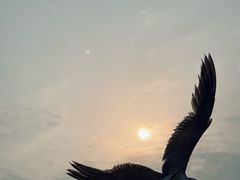 -星海广场