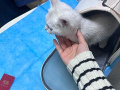 -皮特动物医院(24小时店)