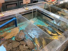 -黑金·寻焰自助百汇·烤肉·火锅(中街店)