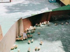 -前小桔亲子创意农场·草莓采摘·露营烧烤