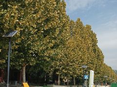 -藁城北服务区-停车场