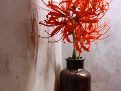 -BE NORMAL CAFE(霞溪路店)