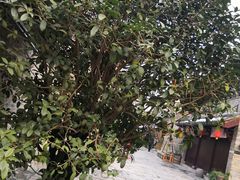 -回龙窝历史文化街区